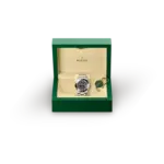 Rolex Sea-Dweller Oyster, 43 mm, Oystersteel and yellow gold M126603 - Image 4